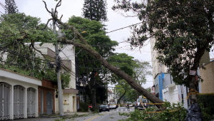 Apagão em SP: Procon notifica Enel por demora em restabelecer fornecimento de energia