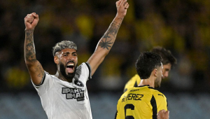 Botafogo perde do Peñarol, mas garante vaga inédita na final da Libertadores