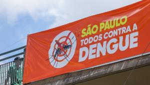 Brasil registra mais de 7.000 mortes por dengue em 2024