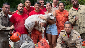 Anitta encontra seu cachorro Charlie após desaparecimento na noite de Natal; veja vídeo